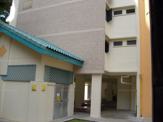 Blk 205 Toa Payoh North (Toa Payoh), HDB 3 Rooms #391812